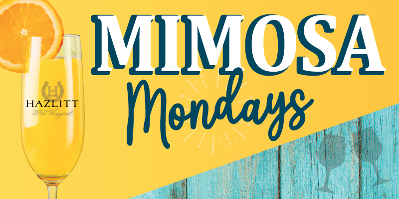 Mimosa Mondays